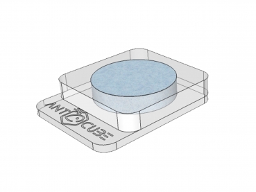 dish clear 1x20 - sponge